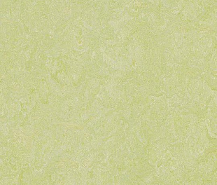 Натуральний лінолеум Forbo Marmoleum Real 2.5 мм 3881 green wellness