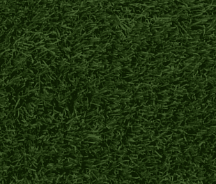Штучна трава Orotex ELITE 2000 мм.