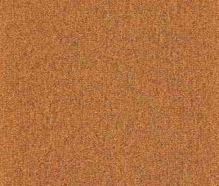 Килимове покриття Arc Edition Master 55