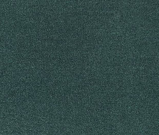 Килимове покриття Carus Andorra 241