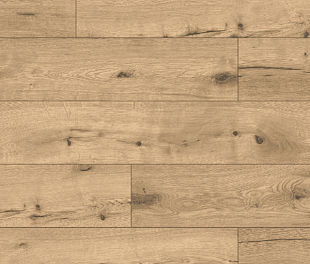 SPC - Ламінат Classen Pro Nature Sumatra 63136