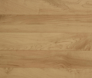 Спортивний лінолеум Tarkett Omnisports V83 MAPLE