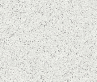 Комерційний гомогенний лінолеум Tarkett Eclipse Premium 21020038