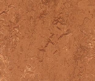 Натуральный линолеум Forbo Marmoleum Real 2.5 мм 2767 rust
