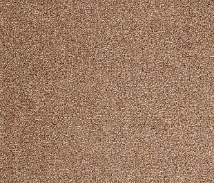 Килимове покриття Arc Edition Evolve 43