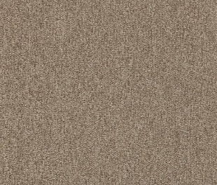 Килимове покриття Arc Edition Master 45