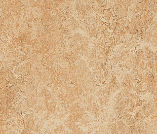 Натуральный линолеум Forbo Marmoleum Real 2.5 мм 3075 shell