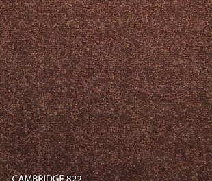 Килимова плитка Modulyss 14 Cambridge 822