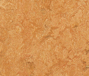 Натуральный линолеум Forbo Marmoleum Real 2.5 мм 3174 Sahara
