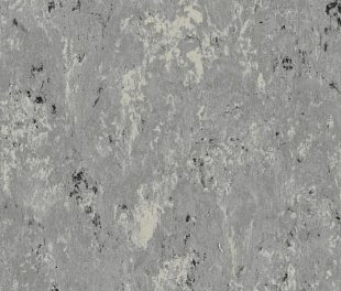Натуральный линолеум Tarkett Veneto 2.0 ZINC 671