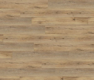 SPC підлога Wineo 400 RLC Wood XL Joy Oak Tender RLC126WXL