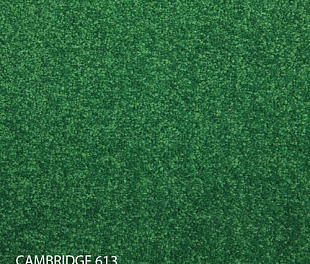 Килимова плитка Modulyss 14 Cambridge 613