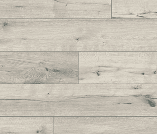 SPC - Ламінат Classen One Nature Emotion European Oak 53649