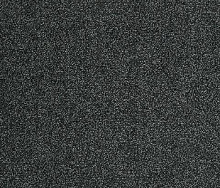 Килимове покриття Arc Edition Evolve 99