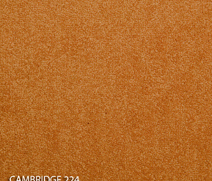 Килимова плитка Modulyss 14 Cambridge 224