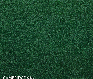 Килимова плитка Modulyss 14 Cambridge 616