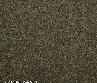 Килимова плитка Modulyss 14 Cambridge 823