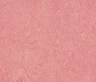Натуральный линолеум Forbo Marmoleum Real 2.5 мм 3268 honey suckle