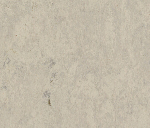 Натуральний лінолеум Tarkett Veneto 2.0 GREY 793