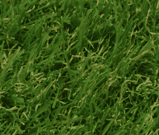 Штучна трава Congrass JAKARTA 30 4000 мм.