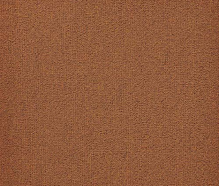 Килимова плитка Modulyss 24 First Forward 322