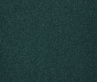Килимове покриття Carus Splendor 237
