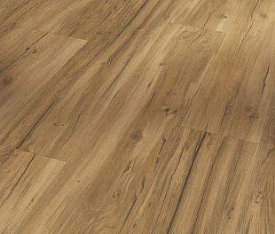 SPC - покриття Parador Basic 5.3 Oak Memory natural 1743003