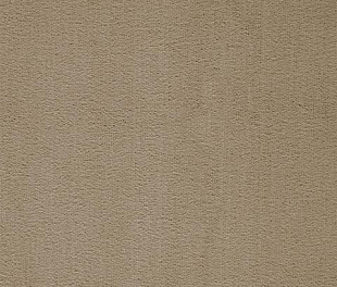 Килимове покриття Arc Edition Prominent 43