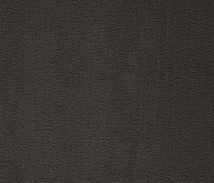 Килимове покриття Arc Edition Prominent 197