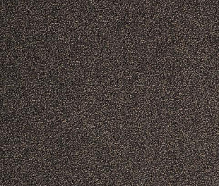 Килимове покриття Arc Edition Evolve 94