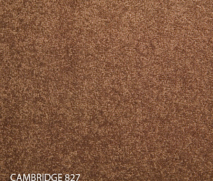 Килимова плитка Modulyss 14 Cambridge 827