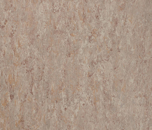 Натуральный линолеум Tarkett Veneto 2.0 FOSSIL 502