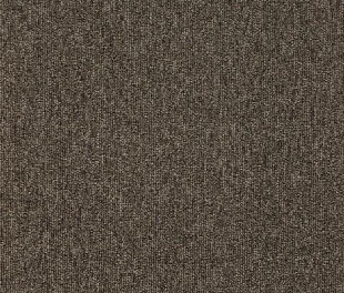 Килимове покриття Arc Edition Master 880